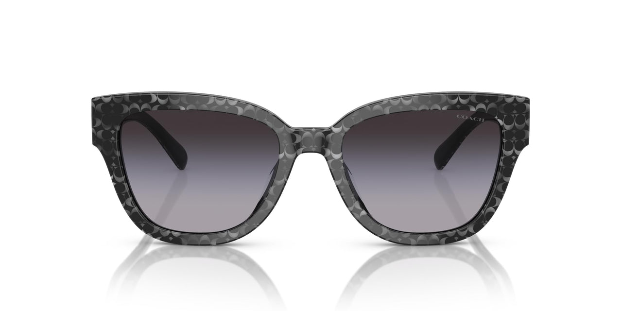 COACH Sunglasses HC 8379 U 55208G Cl920 Grey Pearl Signature C G