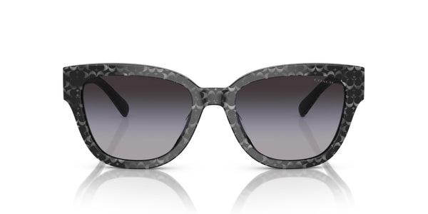 COACH Sunglasses HC 8379 U 55208G Cl920 Grey Pearl Signature C G