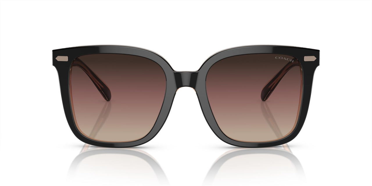Coach HC8381U Universal Fit Sunglasses, Black/Transparent Blush/Brown Purple Grey Gradient, 54 mm