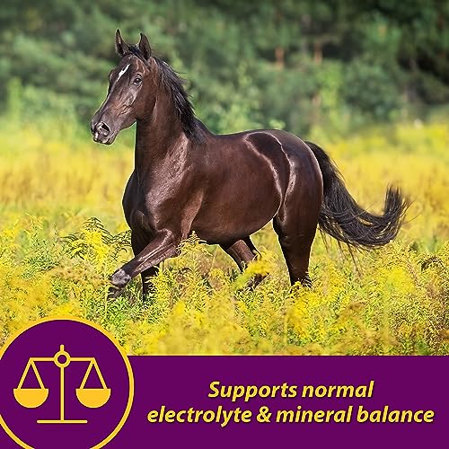 Farnam Horse Health Apple-Dex Apple Flavored Electrolytes for Horses 5 pound