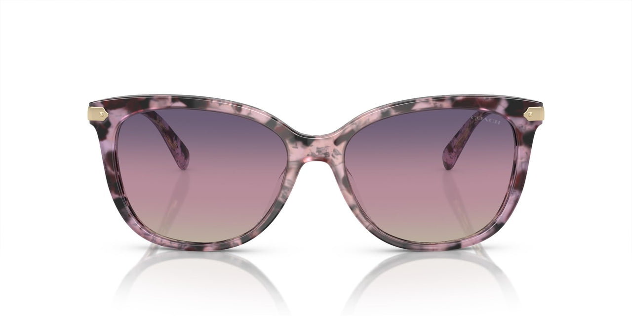 COACH Sunglasses HC 8378 U 5777U6 Cl926 Iris Tortoise Purple Gra
