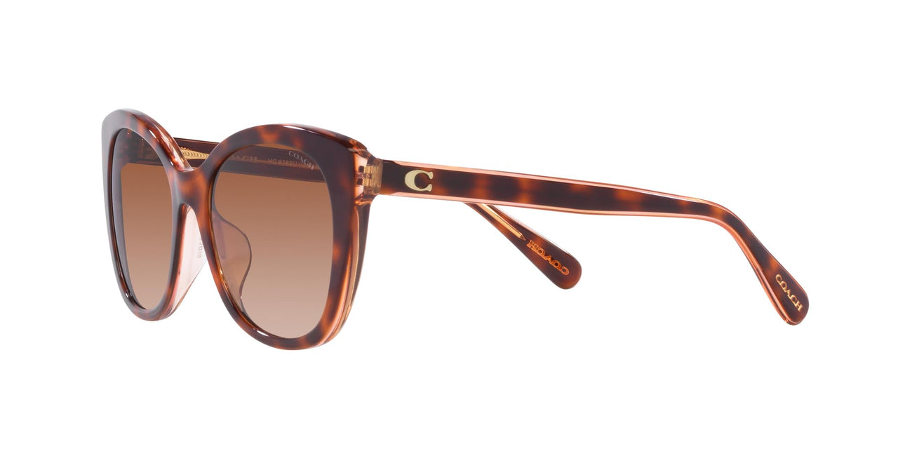 Coach HC8365U Universal Fit Sunglasses, Tortoise/Transparent Pink/Brown Pink Gradient, 55 mm