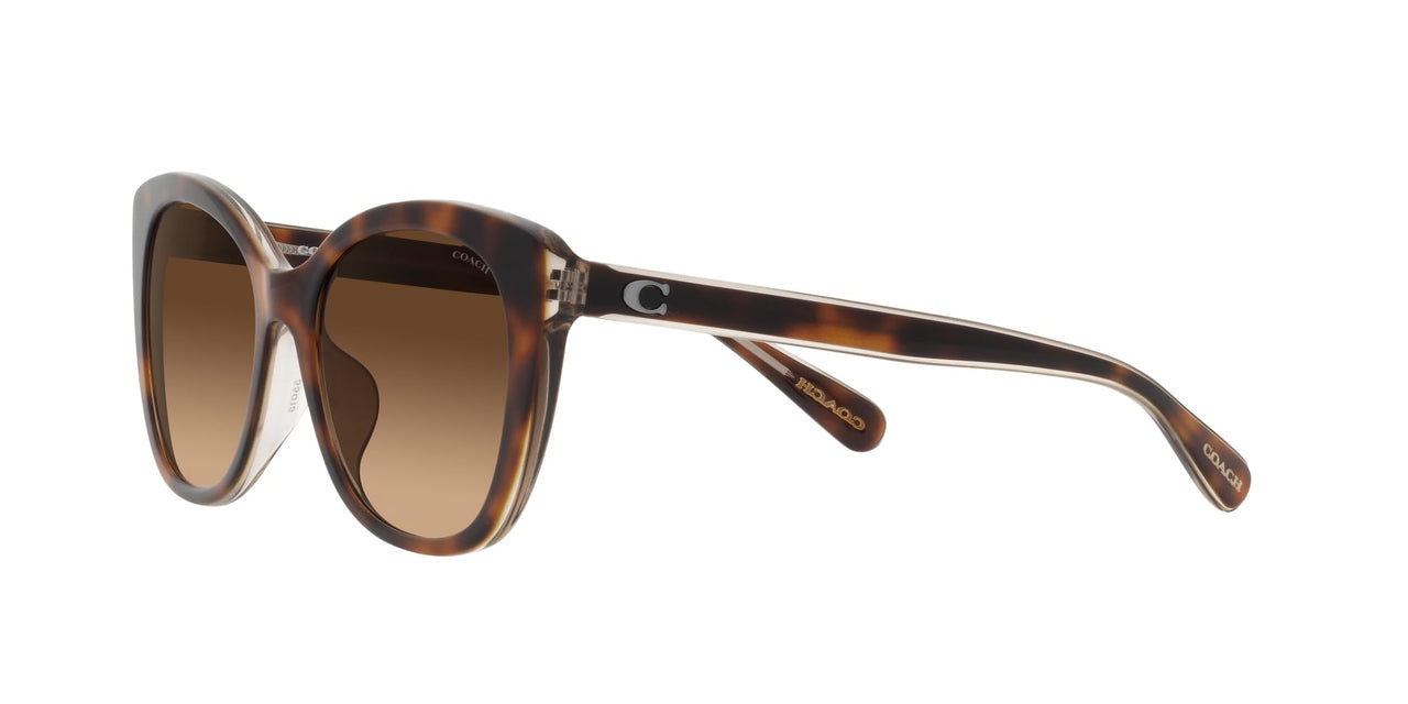 COACH Sunglasses HC 8365 U 574274 Ch566 Tortoise/Transparent B