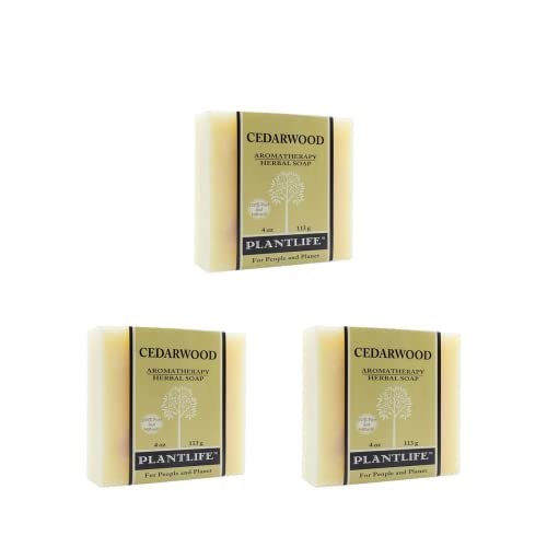https://shopify-staged-uploads.storage.googleapis.com/tmp/97228161387/files/990462ec-4667-4956-81c3-04055f315480/52a27eae6544a1d26f6769745c35339fb766c846.img