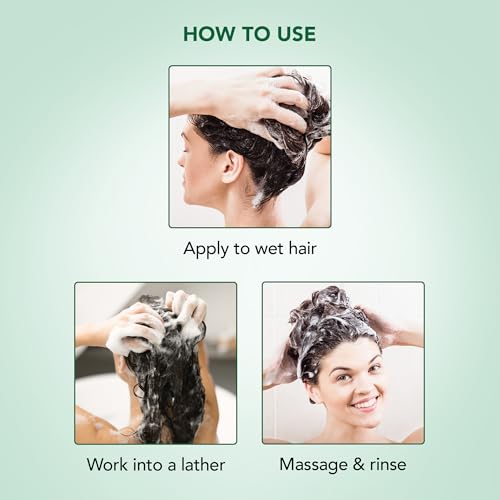 Image 4 of Botanic Hearth Tea Tree Shampoo, Vitamin C, Peppermint, Lavender and Rosemary Oil, Fights Dandruff and Dry Scalp (Peppermint Oil)