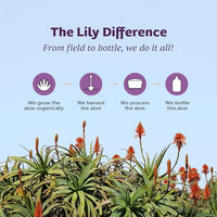 Thumbnail for Image 7 of Lily Of The Desert Aloe Vera Juice, Whole Leaf, Organic, 64 Fl Oz
