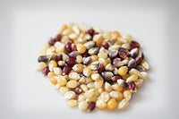 Thumbnail for Image 11 of Amish Country Popcorn Rainbow Popcorn Kernels