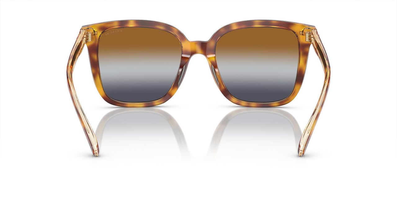 Coach HC8381F Low Bridge Fit Sunglasses, Dark Tortoise/Canary/Brown Teal Grey Gradient, 56 mm