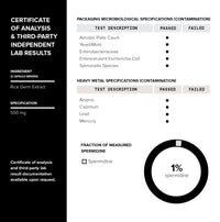 Thumbnail for Toniiq Ultra Concentrated 500mg Spermidine Supplements for Men and Women - Non-Synthetic Spermidine Standardized to No Less Than 1% Spermidine - 5mg Spermidine per Serving Rice Germ Extract