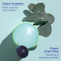 Thumbnail for Caudalie Vinofresh Natural Deodorant Stick, Aluminum Free and Alcohol Free, with Eucalyptus & Grape - 50g