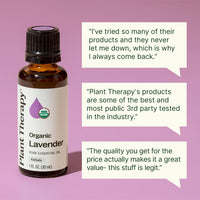 Thumbnail for Plant Therapy Organic Lavender Essential Oil 100% Pure, USDA Certified Organic, Undiluted, Natural Aromatherapy for Diffusion & Topical Use, For Skin, Hair, Relaxation, Premium Therapeutic Grade 30 mL