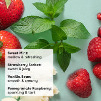 Thumbnail for eos 100% Natural & Organic Lip Balm Sticks- Strawberry Sorbet, Vanilla Bean, Sweet Mint & Pomegranate Raspberry, Lip Care Products, 0.14 oz, 4-Pack