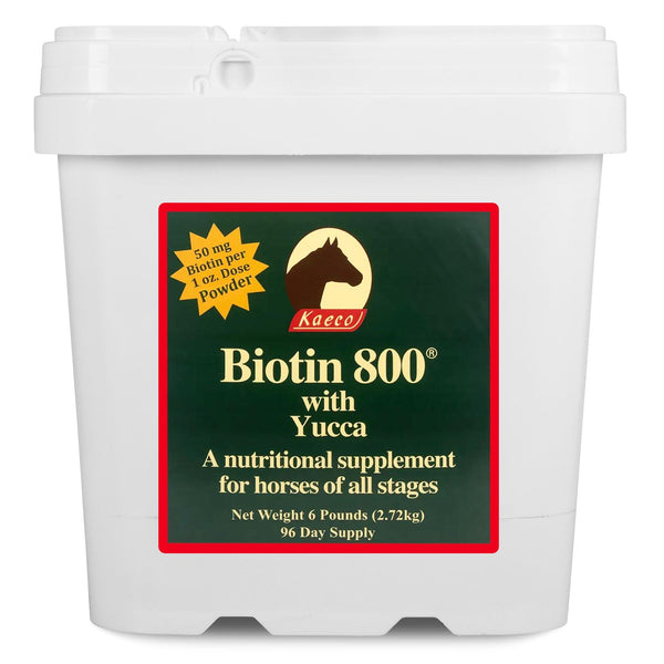 KAECO GROUP INC BIOTIN 800 Powder 6LB D/S