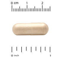 Thumbnail for Cognitive & Memory Boost, MEM Boost by California Gold Nutrition, 60 Veggie Capsules