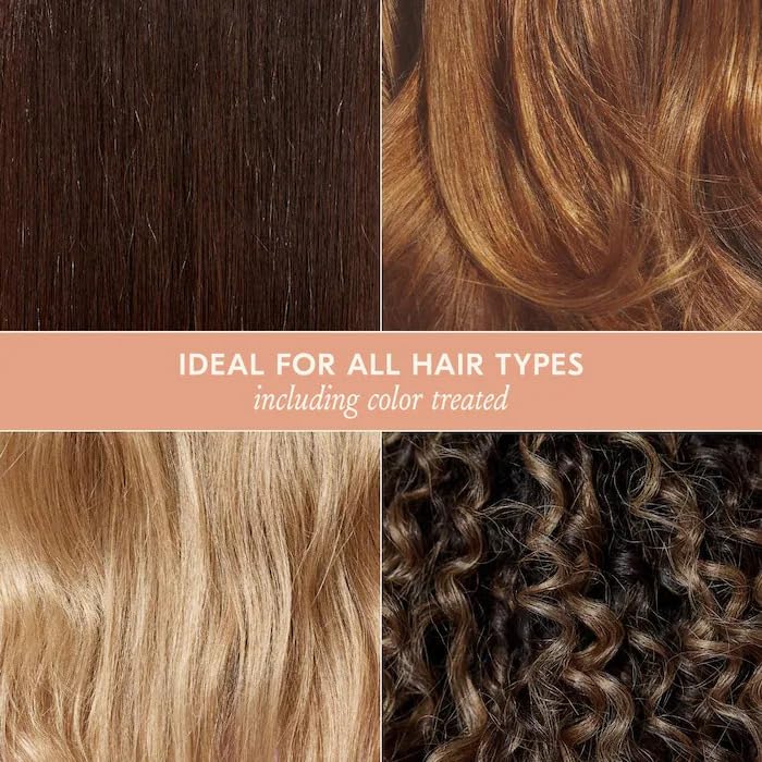 DAE Signature Shampoo - Cleanses & Hydrates Dry Hair & Scalp (10 oz.)