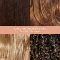 Thumbnail for DAE Signature Shampoo - Cleanses & Hydrates Dry Hair & Scalp (10 oz.)