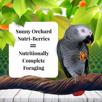 Thumbnail for LAFEBER'S Sunny Orchard Nutri-Berries Pet Bird Food, Made with Non-GMO and Human-Grade Ingredients, for Parrots, 3 lb
