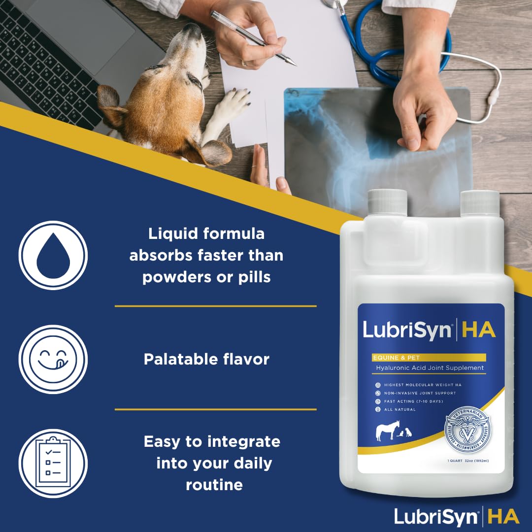 LubriSynHA Hyaluronic Acid Hip & Joint Care Supplement for Dogs, Cats & Horses – Liquid Oral HA for Pets – Joint Support Supplement Promotes Mobility, Flexibility, Cartilage Health & Comfort – 32oz