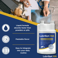 Thumbnail for LubriSynHA Hyaluronic Acid Hip & Joint Care Supplement for Dogs, Cats & Horses – Liquid Oral HA for Pets – Joint Support Supplement Promotes Mobility, Flexibility, Cartilage Health & Comfort – 32oz