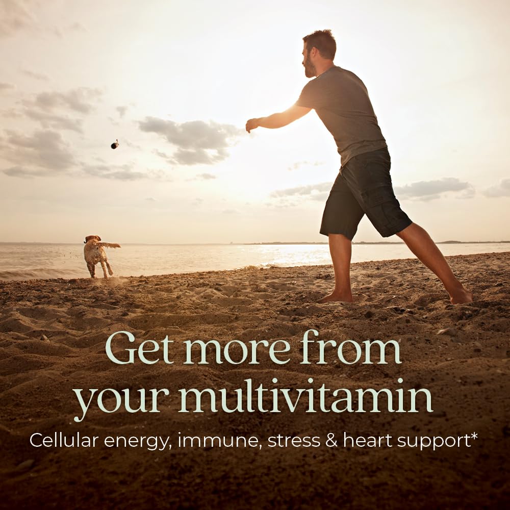New Chapter Men’s Multivitamin, B6, Extra B12, D3, Vitamin C & Zinc, Immune, Heart, Cellular Energy, and Brain Health, Gentle on The Stomach, One Daily, Non-GMO, Gluten-Free, 18+, 72 Tablets