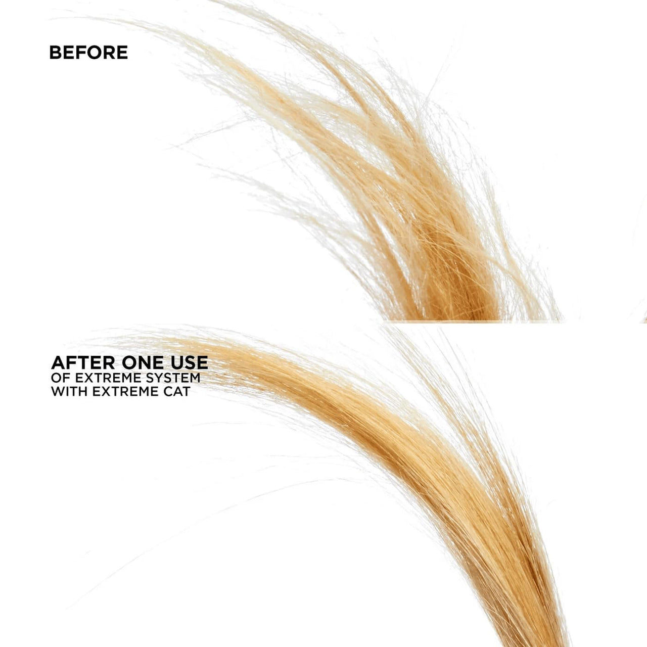 Redken Extreme CAT Anti-Damage Protein Reconstructing Treatment | For Distressed Hair | Strengthens Hair & Adds Shine | With Ceramide | 5 Fl Oz, 6.8 fl. oz