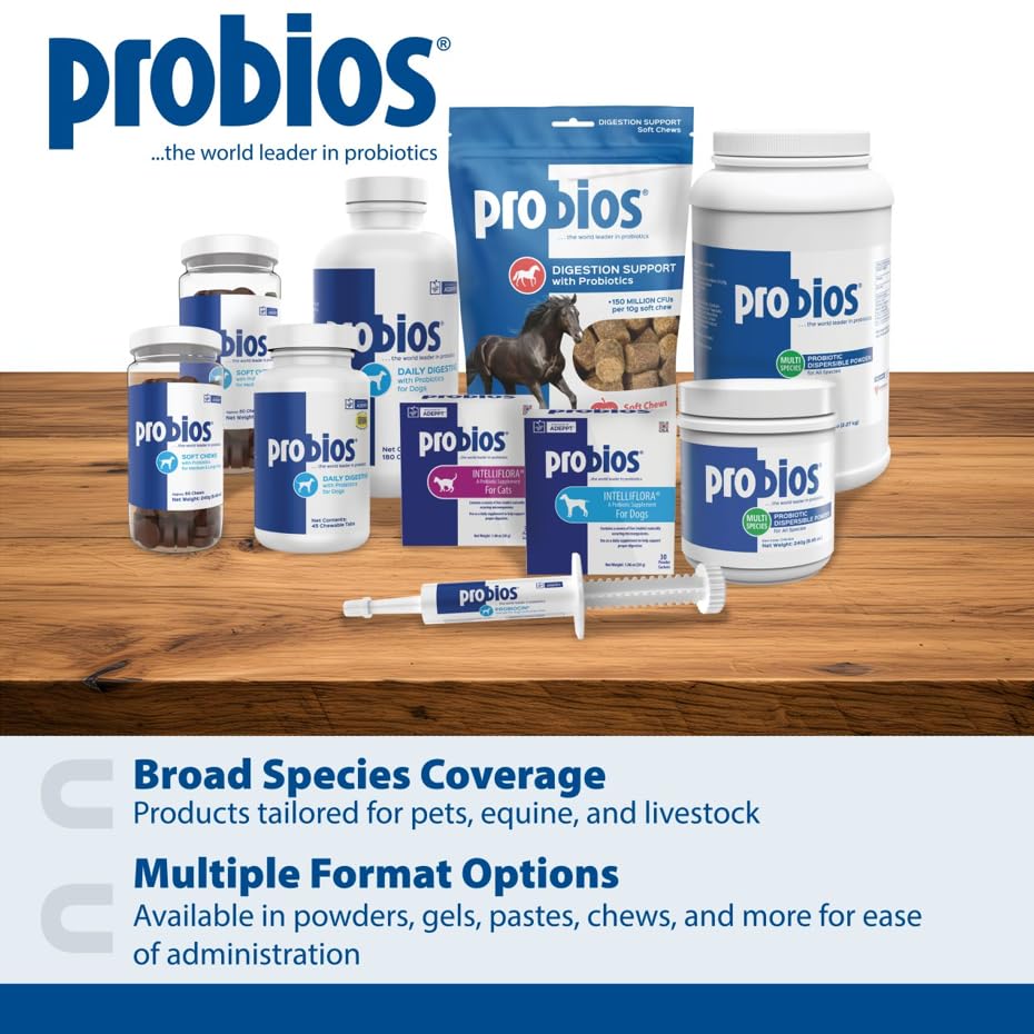 Probios for Dogs Soft Chews, Probiotics for Dogs, Daily Supplement for Gut Health, Digestion & Immune Support, Medium & Large Breeds, 8.46oz