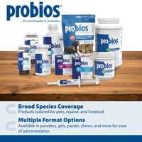 Thumbnail for Probios for Dogs Soft Chews, Probiotics for Dogs, Daily Supplement for Gut Health, Digestion & Immune Support, Medium & Large Breeds, 8.46oz