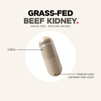 Thumbnail for Codeage Grass Fed Beef Kidney Supplement - Freeze Dried, Non-Defatted, Desiccated Glandulars Nutrition Bovine Pills – Pasture Raised Beef Vitamins - Non-GMO -180 Capsules