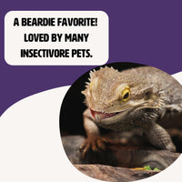 Thumbnail for Fluker's Freeze Dried Superworms, for Reptiles, Ideal for Lizards, Reptiles, Birds, Fish, Hedgehogs, 1.7 oz