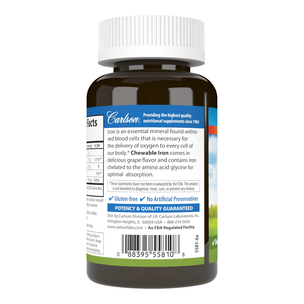 Carlson - Chewable Iron, 27 mg - Superior Absorption, Blood Health, Energy Production & Optimal Wellness, Grape, 60 tablets