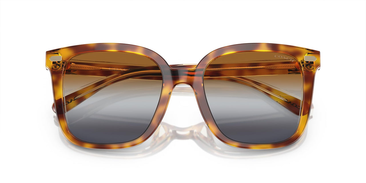 Coach HC8381F Low Bridge Fit Sunglasses, Dark Tortoise/Canary/Brown Teal Grey Gradient, 56 mm