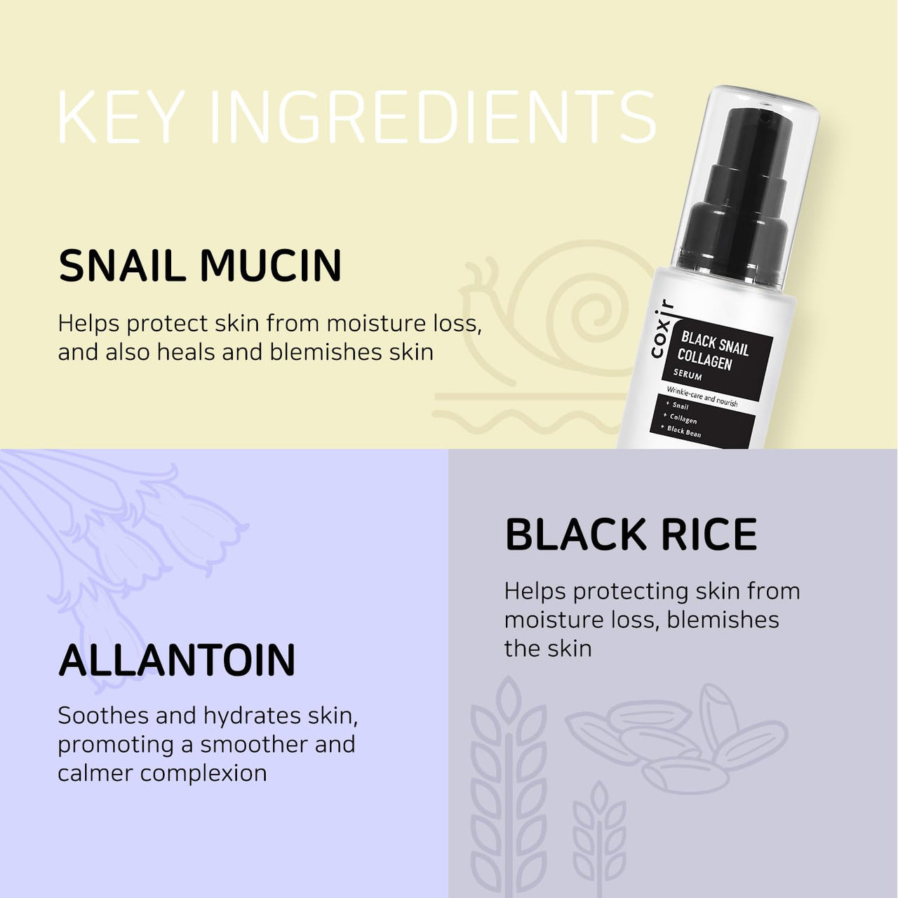 coxir BLACK SNAIL GIFT SET | Birthday Gifts | Foam Cleanser+Serum+Cream | Black Rice, Snail Mucin, Collagen, Peptide | Firming, Moisturizing, Repairing, Korean Skin Care
