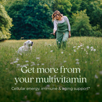 Thumbnail for New Chapter Women’s Multivitamin 40+, extra B6 & B12, Biotin for Hair Growth, D3, Vit C, Zinc for Immune & Stress Support, Gentle on an Empty Stomach, One Daily, Non-GMO, Gluten-Free, 72 Tablets