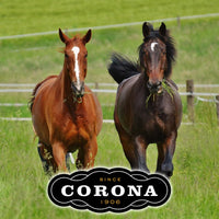 Thumbnail for Corona Ointment for Horses|Lanolin Based Formula Helps Sooth Irritation|7 Ounces