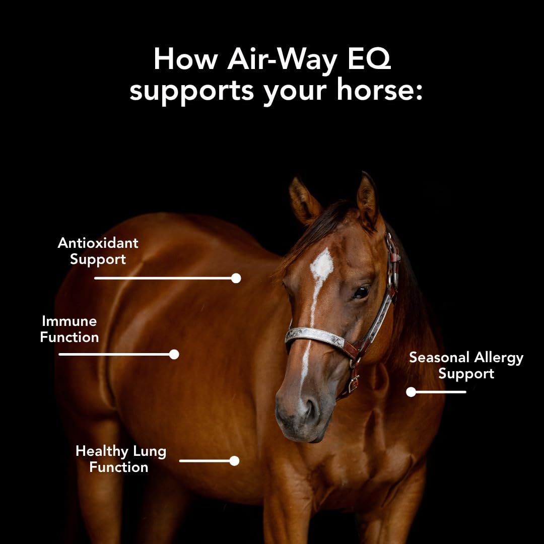 MVP Air-Way EQ Supports Healthy Lung Function and Seasonal Allergy Support in Horses, 5lb - 40 Servings