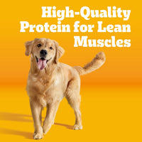 Thumbnail for Pedigree Adult Dry Dog Food, Complete Nutrition, Roasted Chicken & Vegetable Flavor, 3.5 lb. Bag