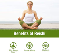 Thumbnail for OM MUSHROOM SUPERFOOD Reishi Mushroom Capsules Superfood Supplement, 90 Count, 30 Days, Organic Adaptogen for Stress Relief and Immune Health