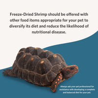 Thumbnail for Fluker's Freeze Dried River Shrimp for Reptiles, Packed with Protein and Essential Nutrients, 1 lb. Value Pack