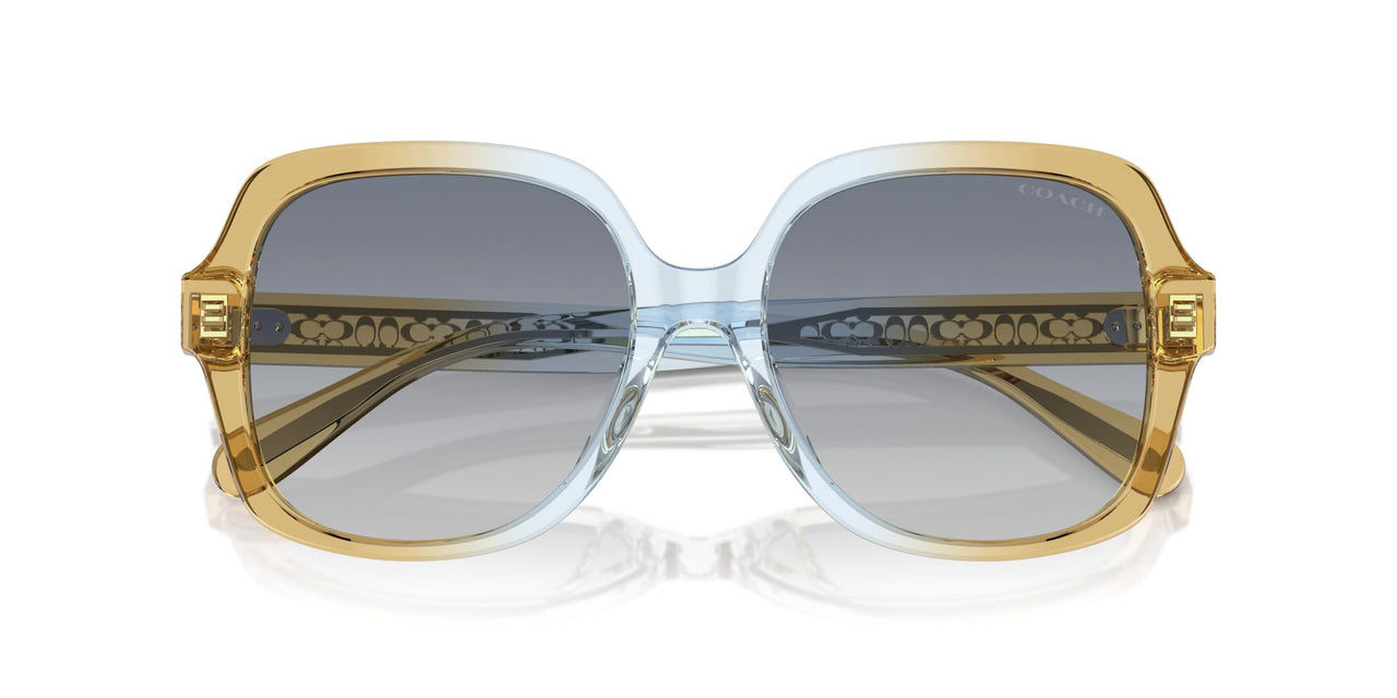 COACH HC8395F Low Bridge Fit Sunglasses, Cider/Baby Blue/Blue Gradient, 56 mm