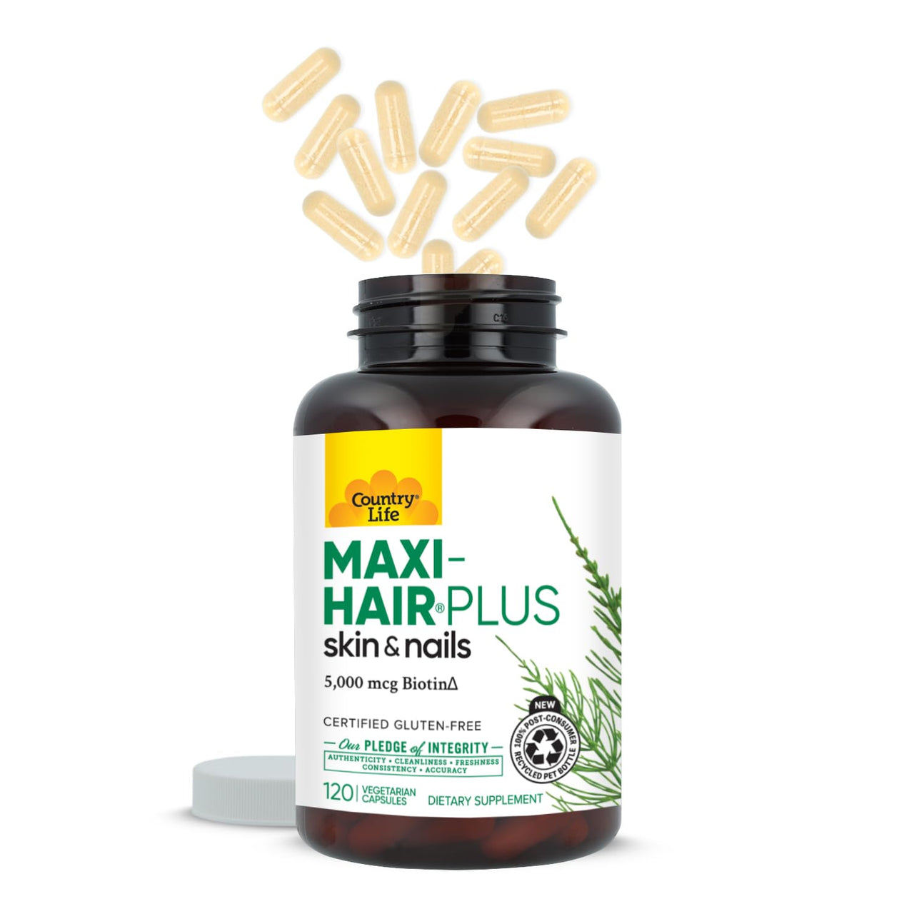 Country Life, Maxi-Hair Plus Biotin, Supports Healthy Hair, Skin and Nails, Daily Supplement, 120 ct
