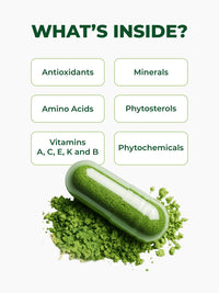 Thumbnail for PURA VIDA MORINGA Organic Moringa Capsules, Pure Moringa Leaf Powder Single Origin for Energy, Metabolism & Immune Support, 120ct, 500mg Caps