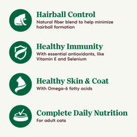 Thumbnail for Nutro Wholesome Essentials Hairball Control Cat Food Dry Chicken & Brown Rice Recipe, Dry Cat Food for Adults, 5 lb. Bag