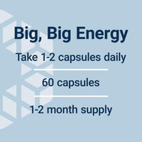 Thumbnail for Life Extension Super R-Lipoic Acid – Healthy Aging, oxidative Stress Defense – with 240 mg of Active R-Form of R-Lipoic Acid – Gluten-Free – Non-GMO – Vegetarian – 60 Capsules