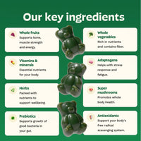 Thumbnail for Gruns Adult Super Greens Multivitamin Gummies, Superfood Gummy Vitamins for Women and Men with Spirulina, Chlorella, Adaptogens & Prebiotic Fiber for Digestive Health (28 Count)