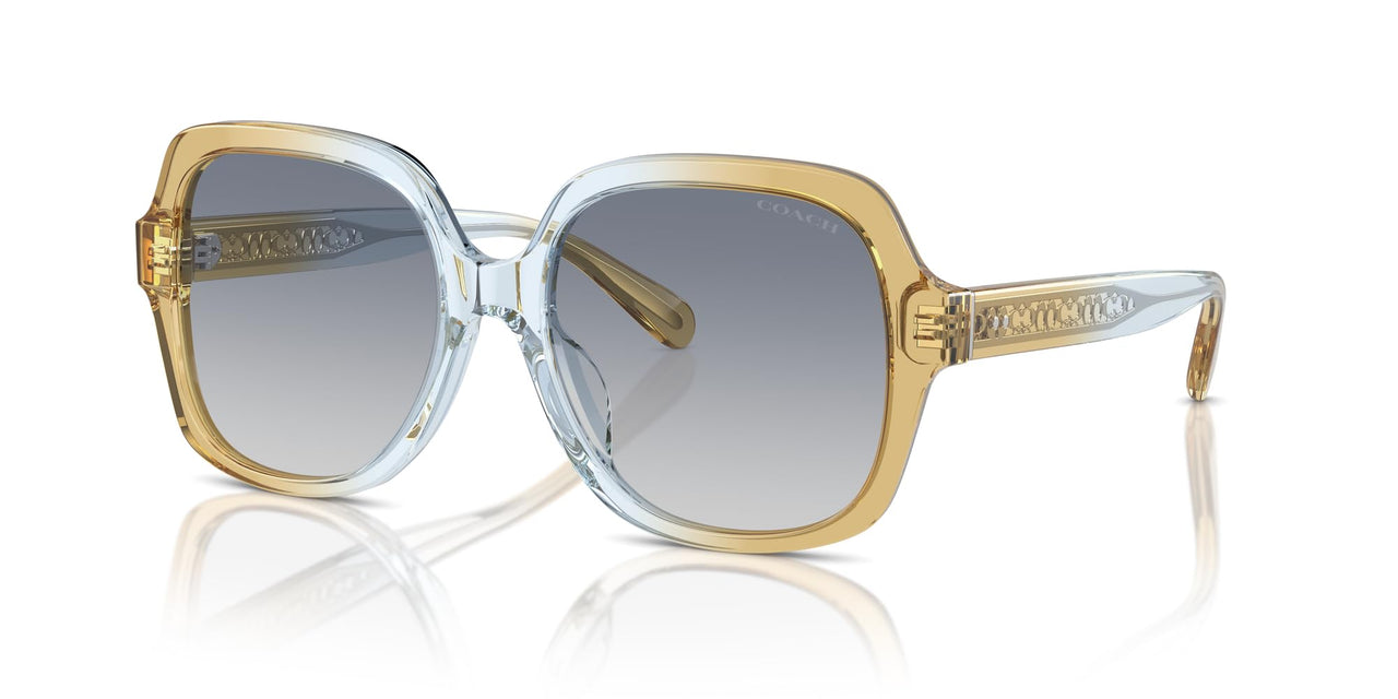 COACH HC8395F Low Bridge Fit Sunglasses, Cider/Baby Blue/Blue Gradient, 56 mm