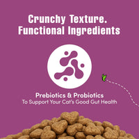 Thumbnail for Get Naked Digestive Health Crunchy Cat Treats 2.5oz - Chicken Flavor, Grain-Free Cat Probiotics for Indoor Cats, Supports Healthy Digestion, Dental Health & Immunity, Made in The USA