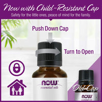 Thumbnail for NOW Eucalyptus Essential Oil, 2 Fl Oz (1 Count)