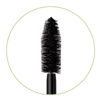Thumbnail for Pixi Large Lash Mascara | Extreme Volume Mascara with Vitamin E, Panthenol & Bamboo | False Lash Effect | Smudge-Proof & Water-Resistant | Ophthalmologist Tested | No.1 Bold Black | 0.4 fl oz/ 12ml