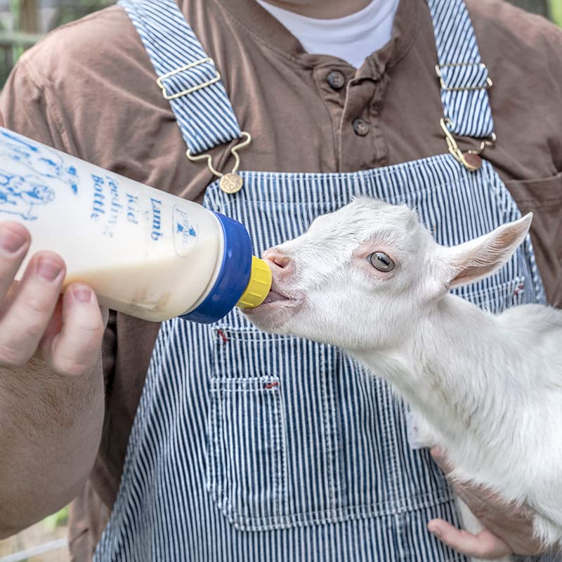 Premier 1 Lamb 'N' Goat Kid Wide-Mouth Feeding Bottle (Bottle & Pritchard Teat)
