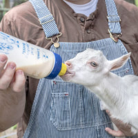 Thumbnail for Premier 1 Lamb 'N' Goat Kid Wide-Mouth Feeding Bottle (Bottle & Pritchard Teat)